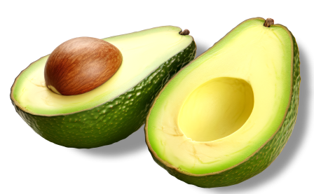 avocat avocat