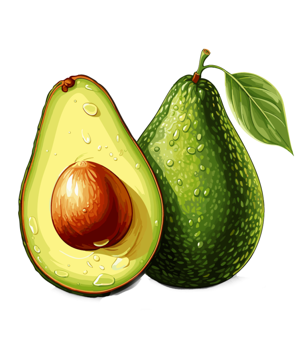 avocat-small-withoutshadow avocat-small-withoutshadow