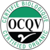 logo-qv-eng logo-qv-eng